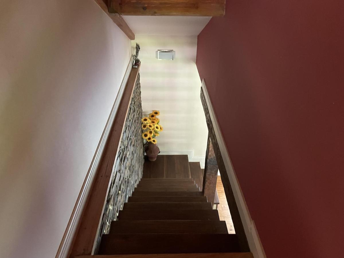 O Celeiros Villa Freixo  ภายนอก รูปภาพ